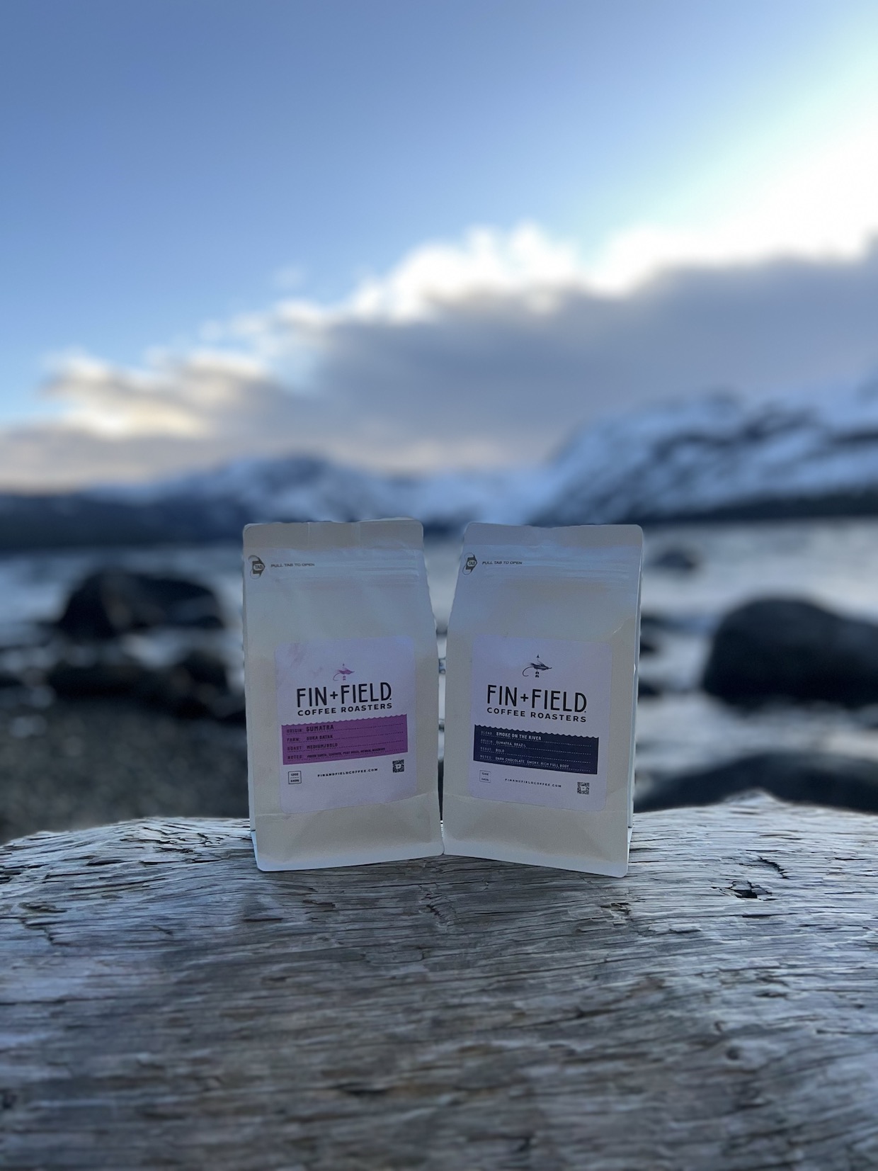 Fin Field Coffee